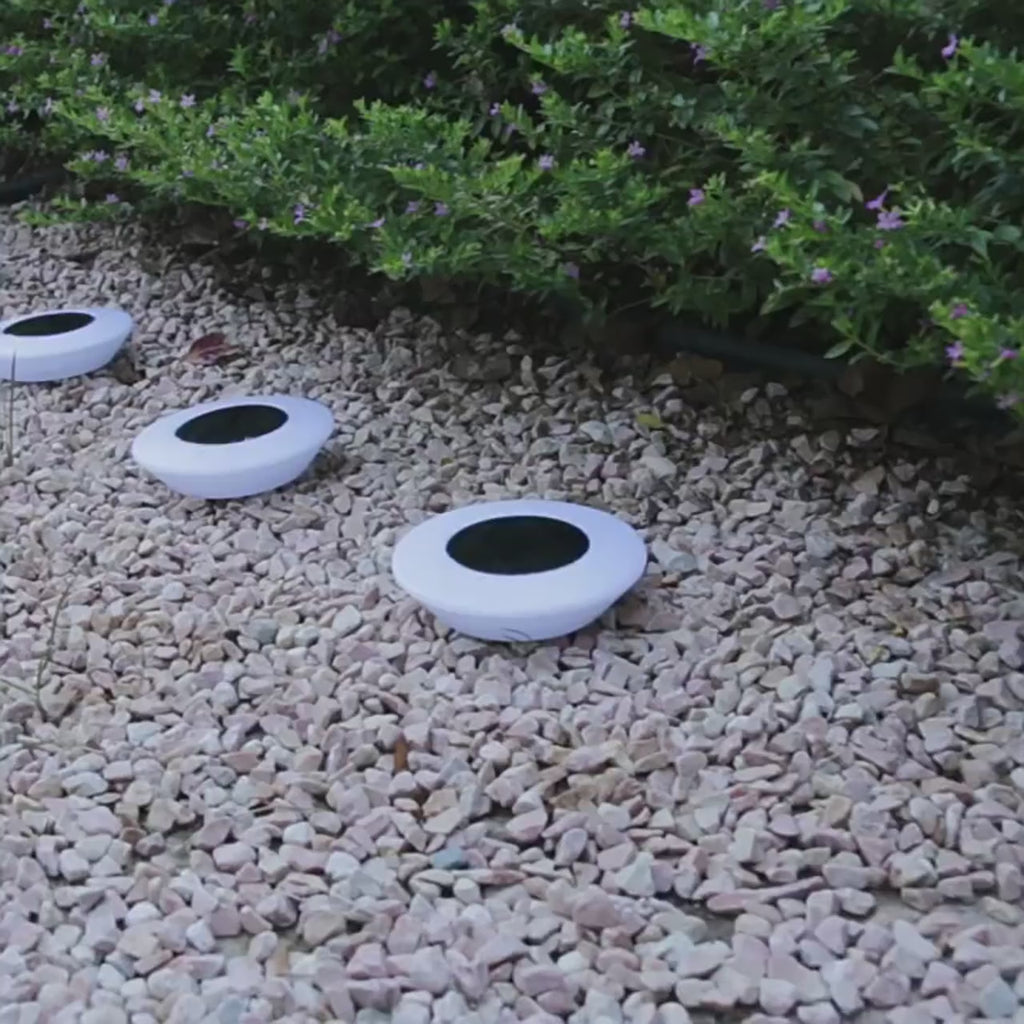 HaloGlow Solar Ground Lights – Waterproof LED Landscape Lighting